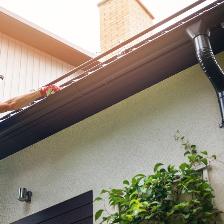 Pressure Washing in Marion County, FL Pressure Washing in Marion County, FL